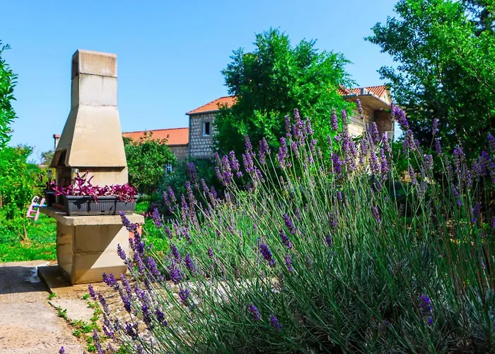 Konavle Village * Čilipi